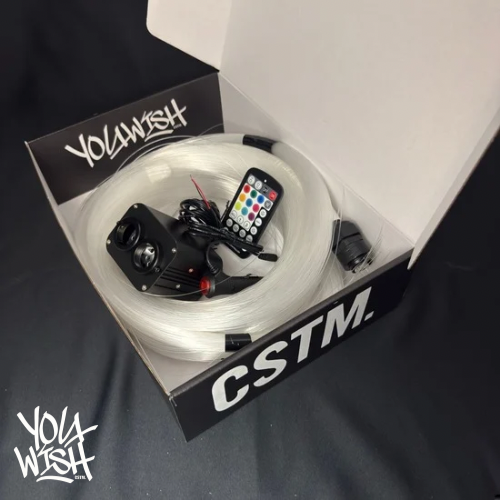 duel module fiber optic