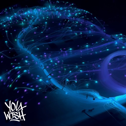 duel module fiber optic