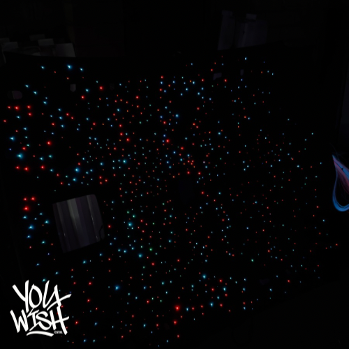 duel module fiber optic