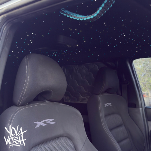 duel module fiber optic